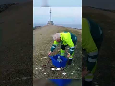 Чайка отказалась покидать своего СПАСИТЕЛЯ🥹🐦🙏 thumbnail
