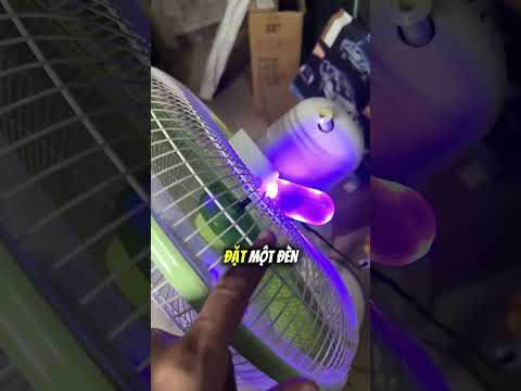 Bẫy muỗi tự chế của cậu bé khiến mọi người kinh ngạc! 😯 thumbnail
