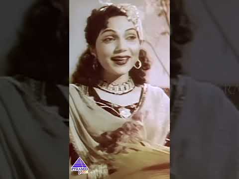 Masila Unmai Video Song | Alibabavum 40 Thirudargalum Movie | MGR | Bhanumathi | #ytshorts thumbnail
