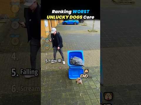 Ranking TERRIBLY UNLUCKY DOGS Core Moments!! 🐶🍀 thumbnail