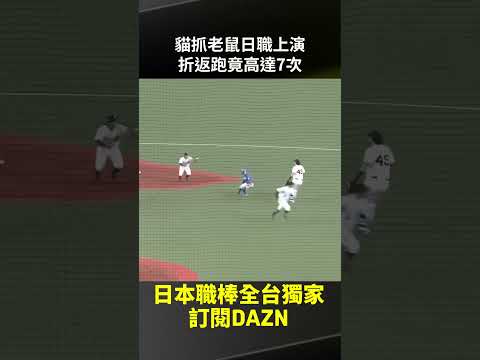 貓抓老鼠日職上演 折返跑竟高達7次！2026.05.09 歐力士猛牛 vs 北海道日本火腿鬥士 thumbnail