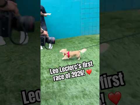 Leo's First Race Of 2026! ❤️ thumbnail