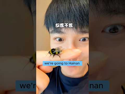 My travel buddy is a bee. thumbnail