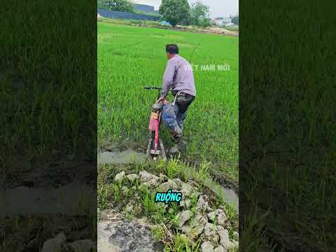 Đây là cách bác nông dân tạo rãnh trên ruộng lúa cực nhanh thumbnail