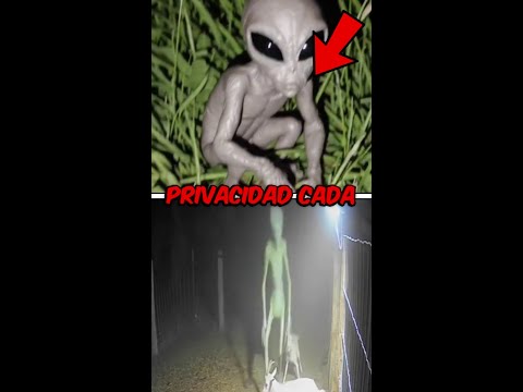 Ya no tienen privacidad, cada vez salen más videos de marcianos en 4k. thumbnail