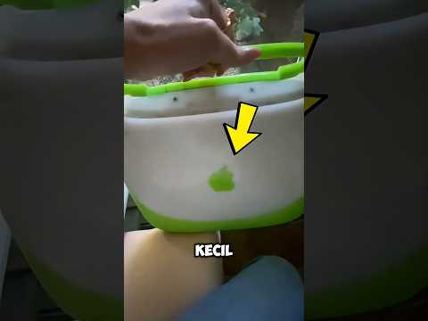 nyalain laptop jadul tahun 90an, hasilnya bikin jantungan 🤯 thumbnail