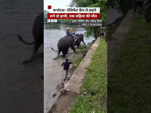 Karnataka: ऐलिफेंट कैंप में अचानक लड़ने लगे दो हाथी, एक महिला की मौत (BBC Hindi) thumbnail