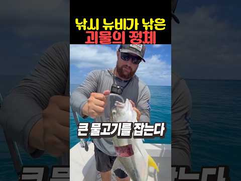 낚시 뉴비가 낚은 괴물의 정체 thumbnail