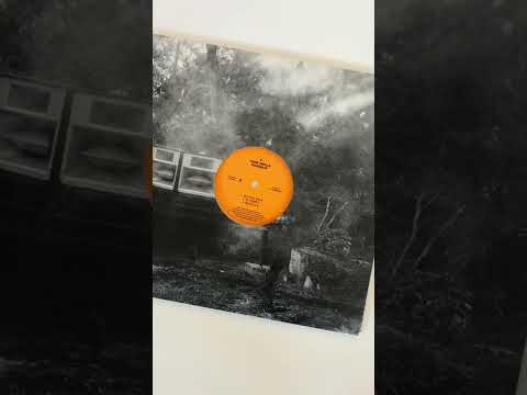 Dracula White Fang Vinyl available now. thumbnail