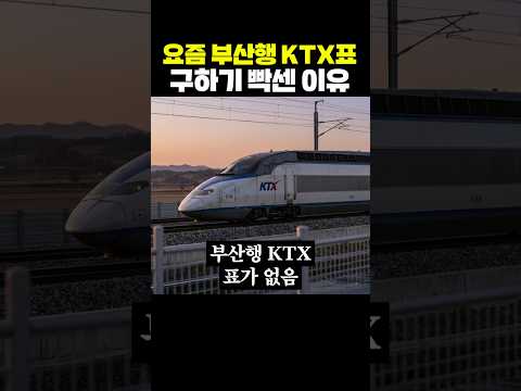 요즘 부산행 KTX표 구하기 빡센 이유 thumbnail