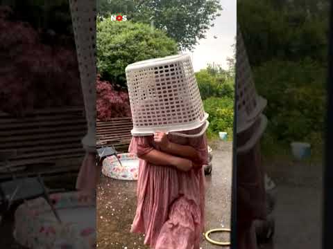 Hagelstenen zo groot als pingpongballen!  thumbnail