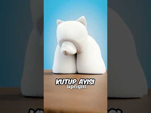 EVDE KUTUP AYISI YAPMAK MÜMKÜN MÜ? thumbnail