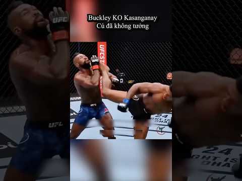 Cú đá xoay người "Ninja" khiến cả thế giới ngỡ ngàng tại UFC #UFC thumbnail