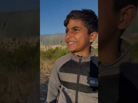 لقو ذهب #mahdi_الخال thumbnail