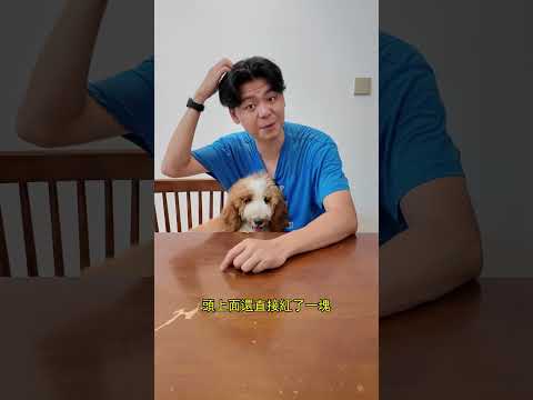 缺德商品再現江湖 等下狗狗不舒服你還以爲是它調皮 不老實？？- 寵物烘乾套 thumbnail