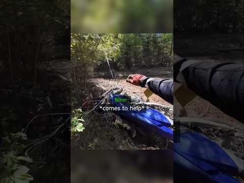 Always Beware Of Those Who You Help In The Woods thumbnail