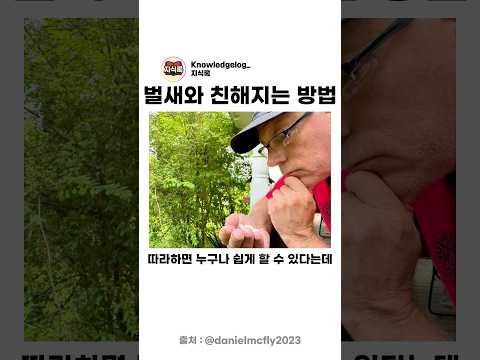 벌새와 친해지는 방법 thumbnail
