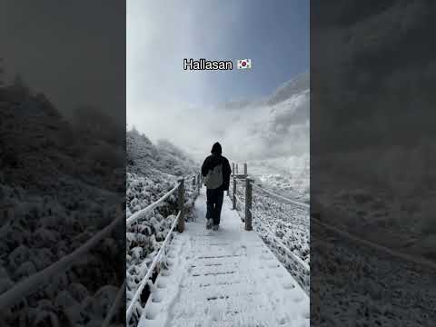 Most Beautiful Places in South Korea ?? | #shorts #travel #explore #nature #viral #adventure thumbnail