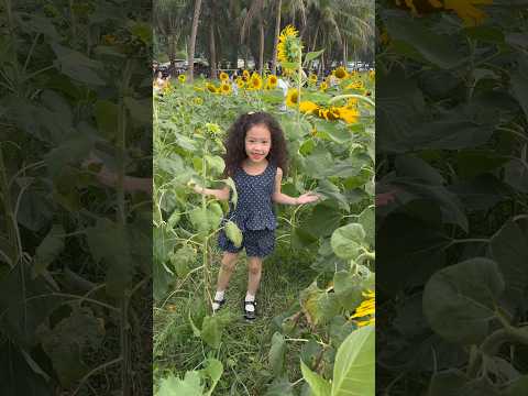 Bố ở đâu #funny thumbnail
