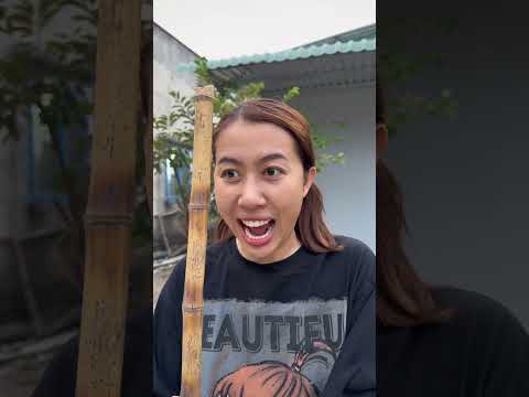 CON HEO CỨNG BẰNG ĐÁ #haibadane #shorts thumbnail