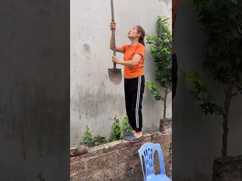 Ways to help mother birds carry food back to the nest more easily. #funny #shortsyoutube thumbnail