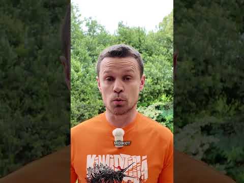 Переезд в другую страну, Денис Власин, Kiwi Education thumbnail