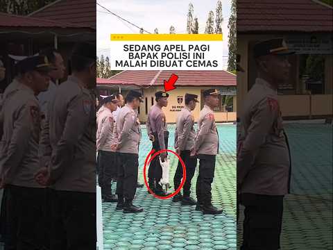 bapak polisi ini dibuat cemas karena seekor kucing ❗ #videoviral thumbnail