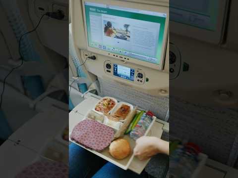 Economy Class ASMR: The Relaxing Sounds of Flying Emirates thumbnail