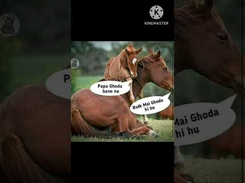 ?? Ghode ke papa be like : Mein pehle se ghoda hi hu #shorts #viral #memes #funny thumbnail