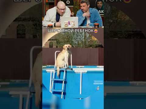 ЗАСМЕЯЛСЯ - ПОДПИСАЛСЯ! Ч.255😂 ОЧЕНЬ СМЕШНО! thumbnail