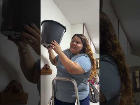EU NÃO CAIO EM PEGADINHAS 😂😂 thumbnail