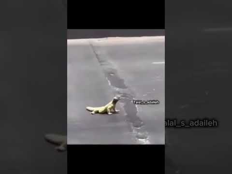 مين قده الحين 😂 thumbnail