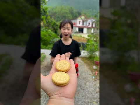 Kẹo mút kiến đen vs Kem Socola Cái Nào Tốt Hơn Cho Mùa Hè thumbnail