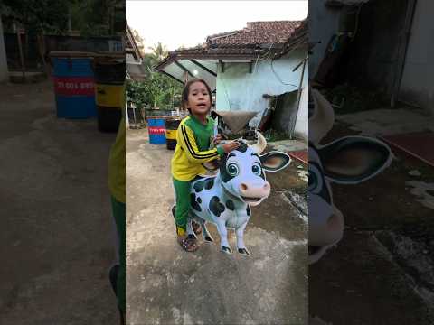 DE IJA MAU KURBAN SAPI thumbnail