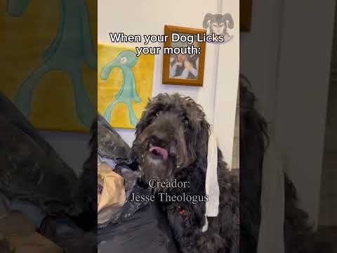 CUANDO TU PERRO TE BESA EN LA BOCA #doblaje #humor thumbnail