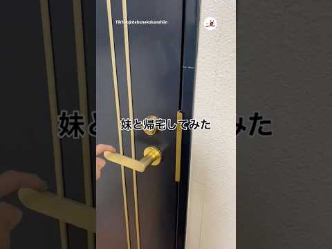 妹と一緒に家へ帰宅してみた｜PECO thumbnail