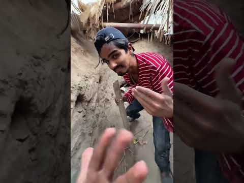 Kami telah menyelamatkan anak-anak ayam berwarna-warni dari ko thumbnail