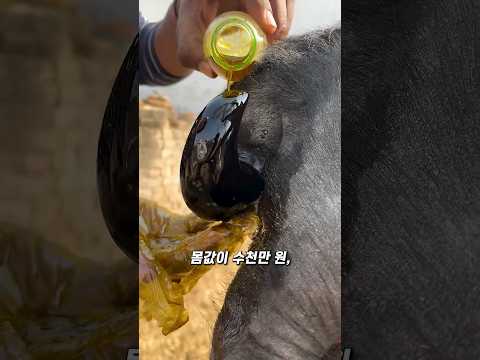 광택내면 억 단위로 폭등하는 미친 시장 thumbnail