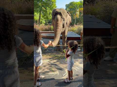 الحمدلله ما ركض لي🤣🤣 #اكسبلور #viralvideo #shortsvideo #viralshorts #explorepage thumbnail