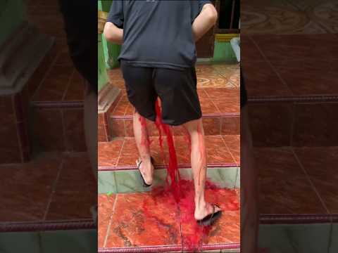GARA GARA KUCING IBLIS MERAH #shorts #lucu #art #trending thumbnail