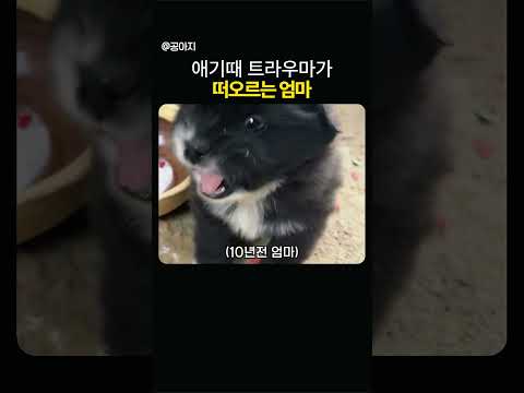 애기때 당했던게 떠오름 thumbnail