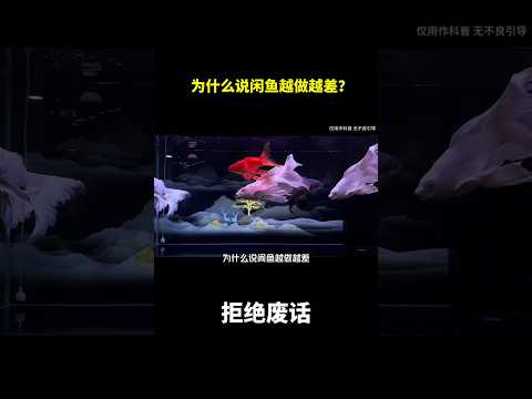 为什么说闲鱼越做越差？#冷知识 #涨知识 thumbnail