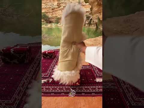 ‏هذا المكان ينسيه ضغوط الحياة كلها thumbnail