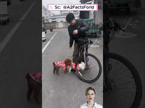 🚗😤 Cuộc Chiến Giành Ghế Trước #shorts thumbnail