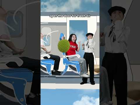 How To Fly thumbnail