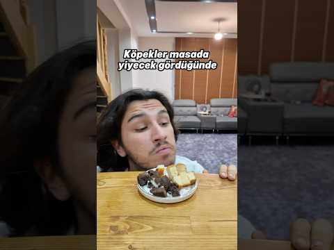 Gerçekten kediler böyle 😂 thumbnail