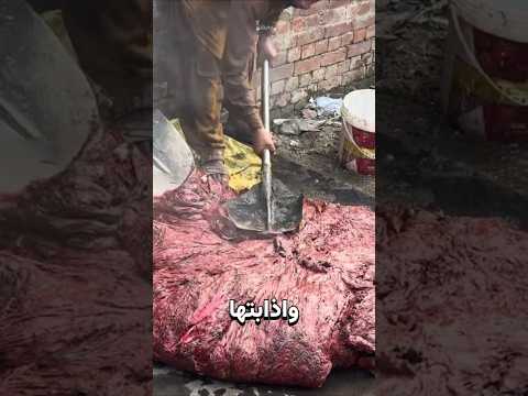 من النفايات إلى ثروة! thumbnail