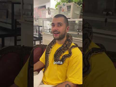 wężna kawiarnia thumbnail