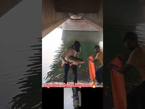 new fishing #mallutraveler​#fishingfreeks​#shortsX​#mallu​#malayalam​#m4tech​ thumbnail