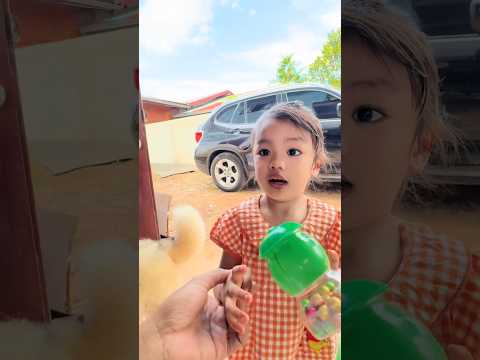 มาดูกันว่าลินินจะเลือกของใคร #funny #บักฮาโอ๊ต thumbnail